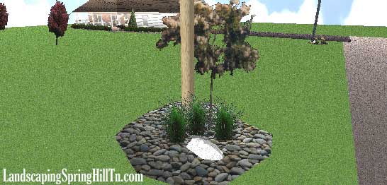 Daylillies and dwarf alberta spruce in a spring hill tn landscape design